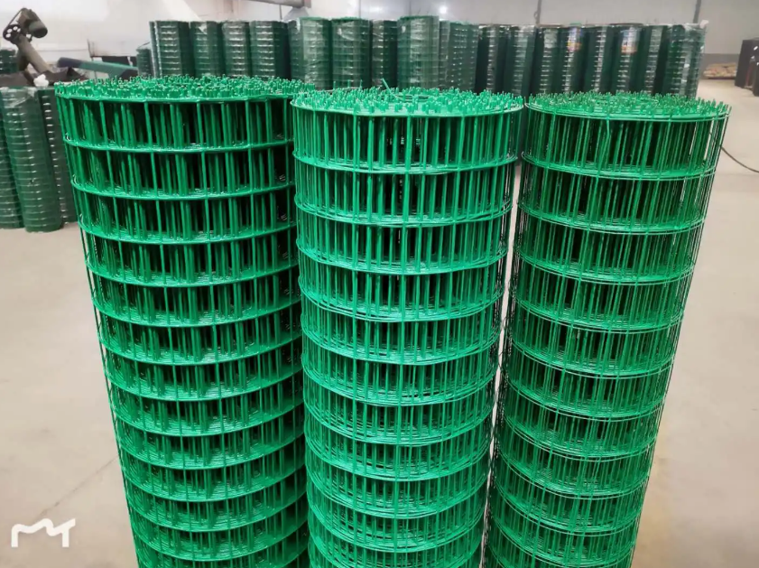 安平荷兰网
